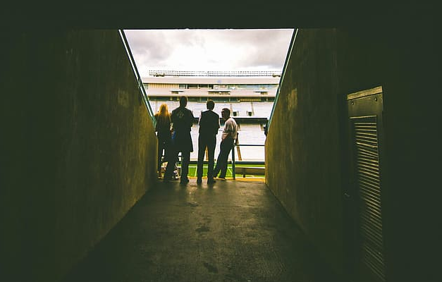 Fenômeno Brasileiro: O Jogo por Trás das Apostas