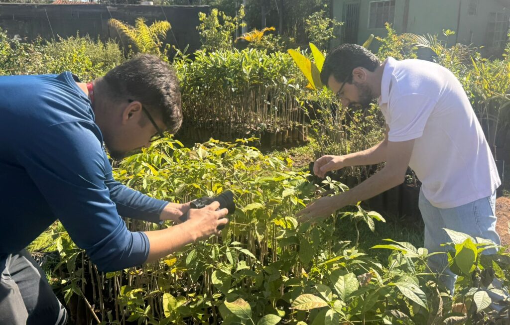 Prefeitura de Goiânia amplia ações de arborização com projetos de educação ambiental