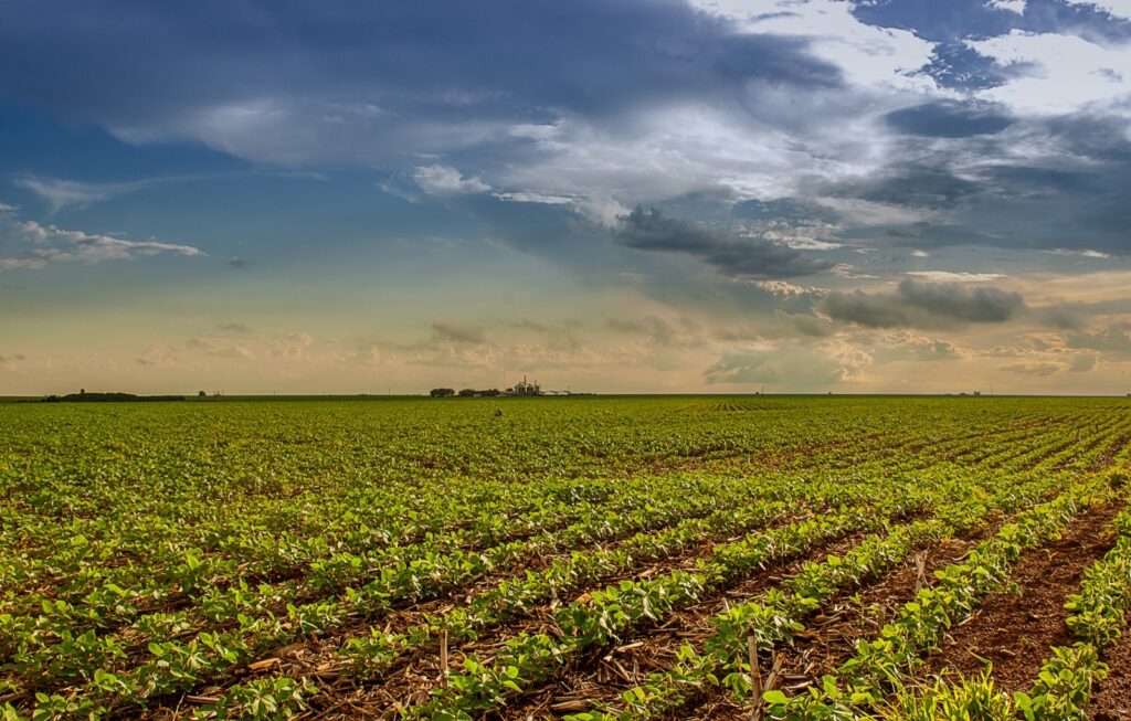 Prazo para semeadura da soja termina em 2 de janeiro em Goiás