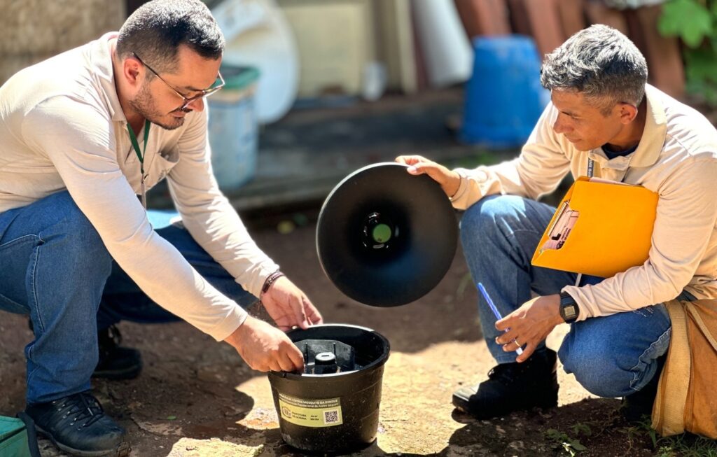 Goiânia registra queda de 50% nos casos de dengue em 2025