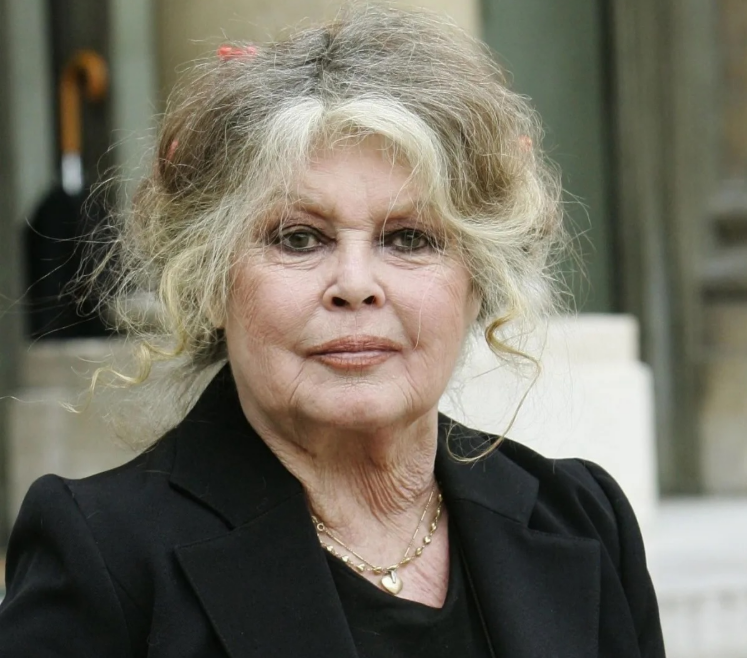 Brigitte Bardot, ícone do cinema francês, morre aos 91 anos