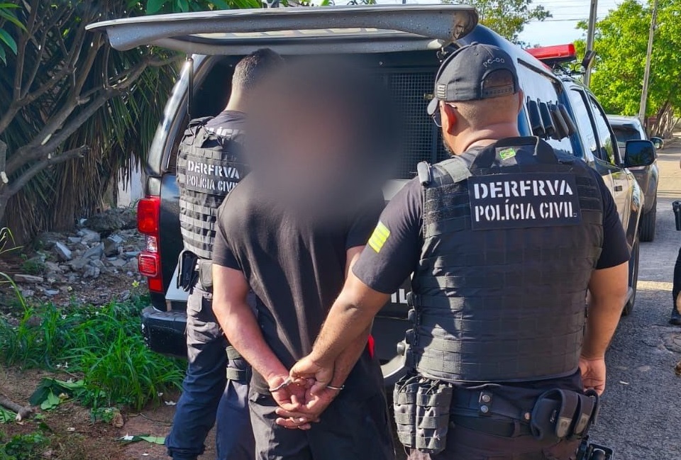Homem preso (Foto: PCGO)