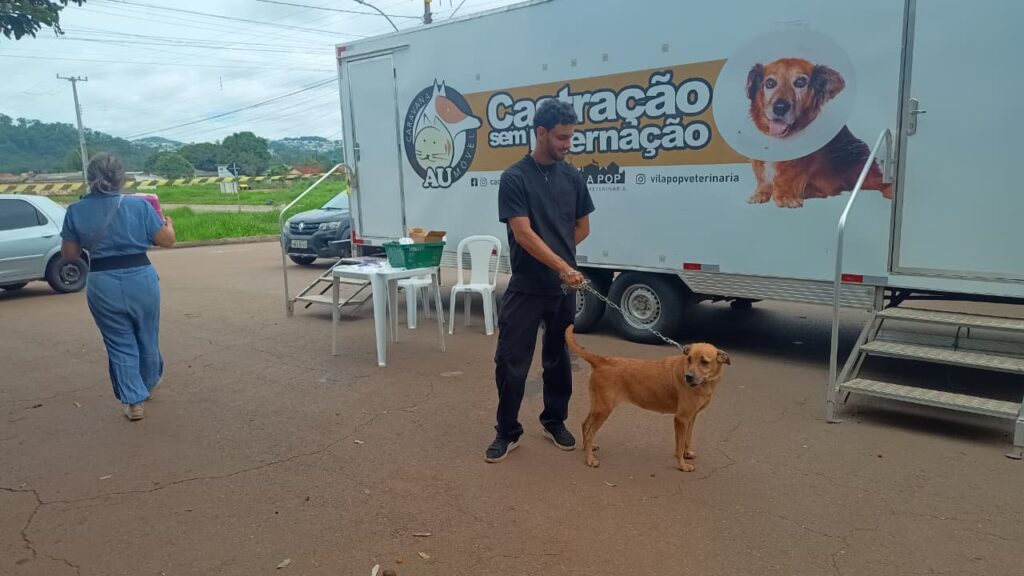 Prefeitura de Goiânia realiza castração gratuita de pets na Região Oeste (foto: Amma)