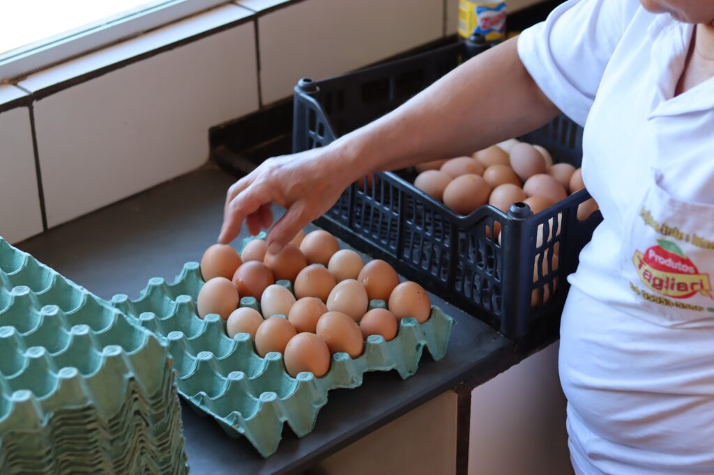 Goiás lança novo edital para qualificar 60 agroindústrias de pequeno porte no Estado (foto: Giovanna Curado)