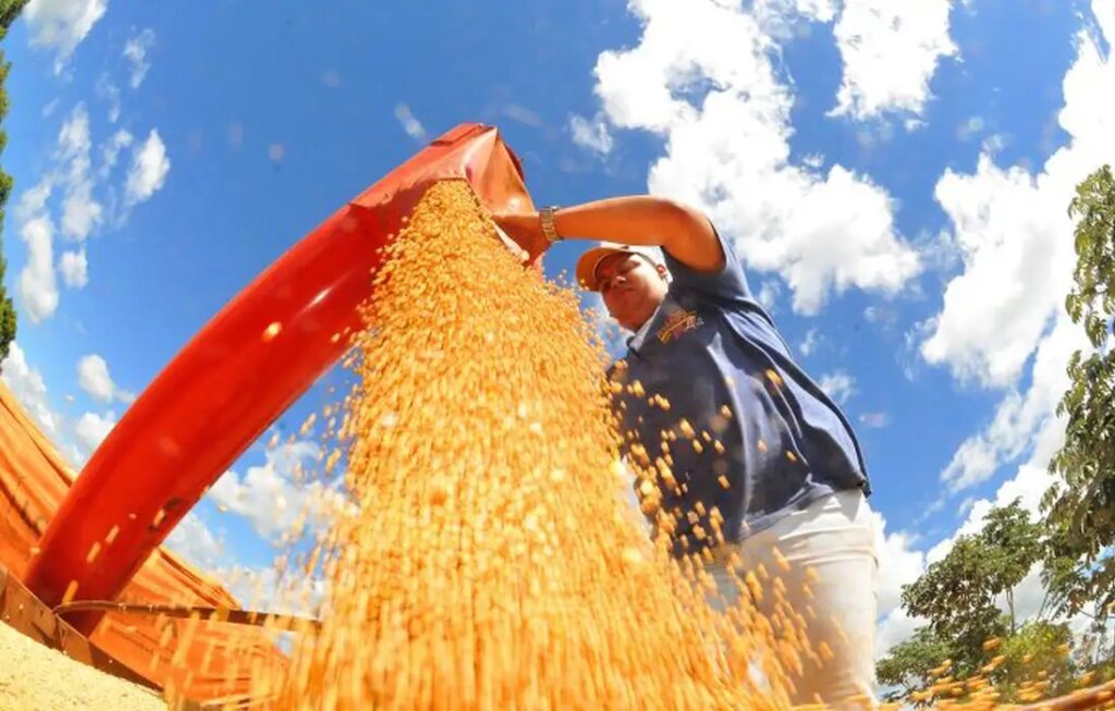 IBGE prevê safra recorde de 346 milhões de toneladas em 2025