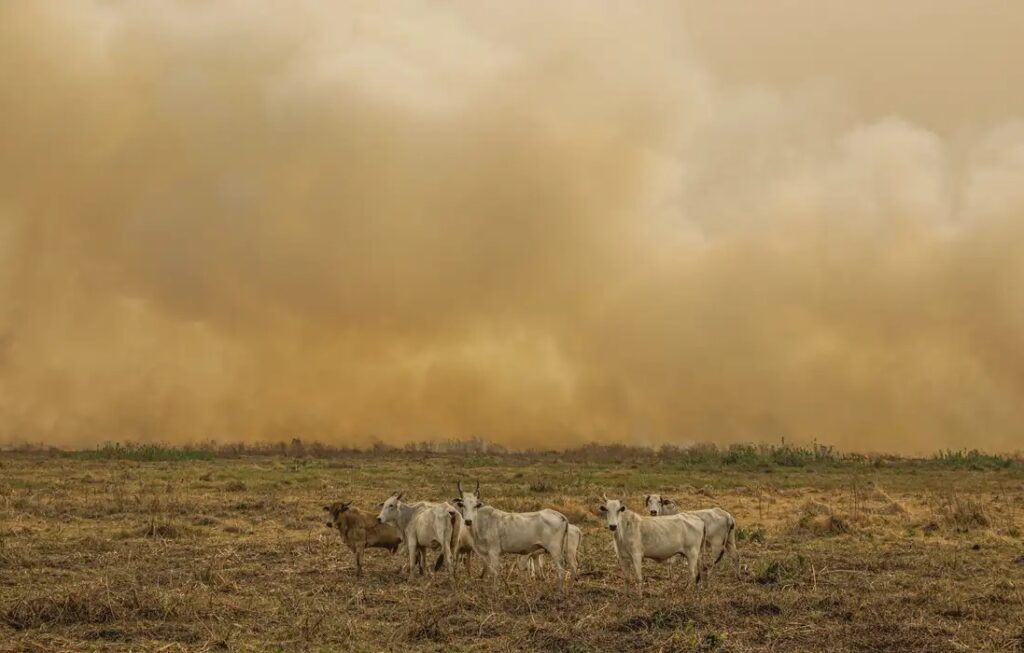 Janeiro tem número de focos de calor duas vezes maior que a média