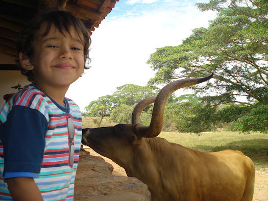 Ancestralidade linguística