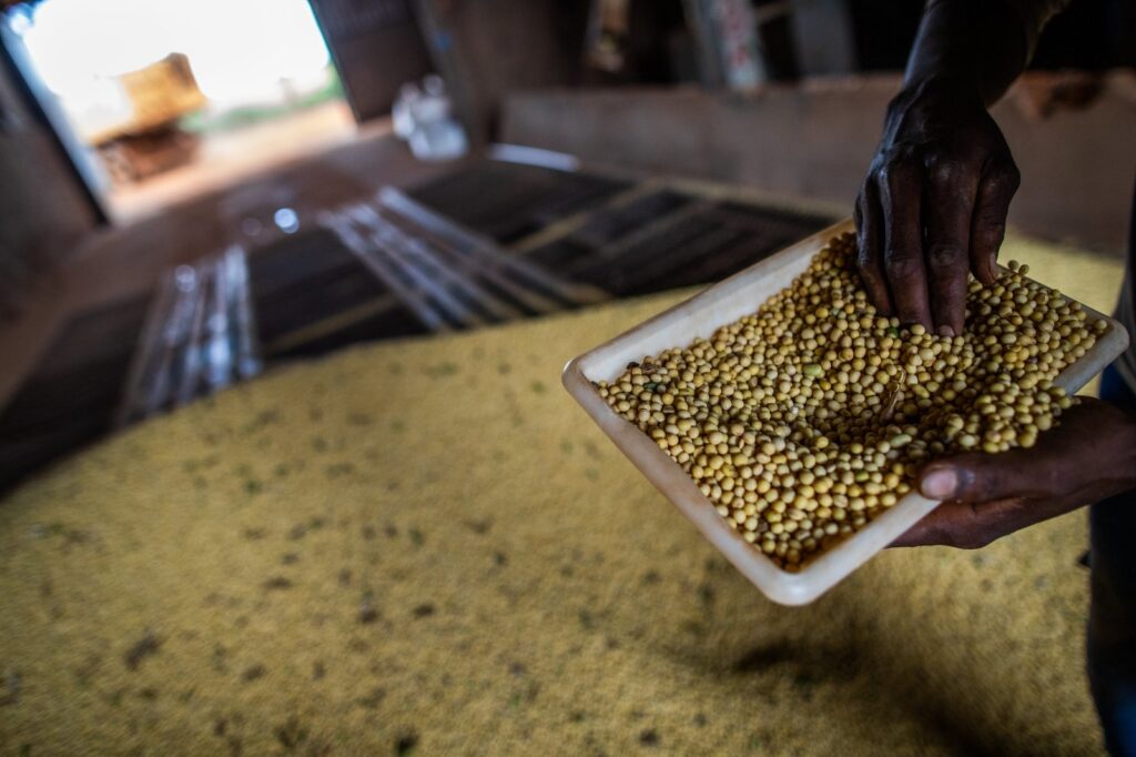 Goiás encerra 2025 com superávit de mais de US$ 8 bilhões na balança comercial