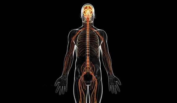 O que é síndrome de Guillain-Barré, diagnosticada em mulher que usou tirzepatida do Paraguai