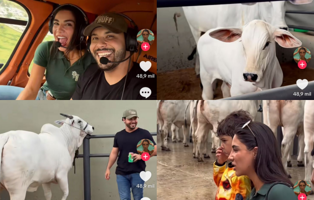 Murilo Huff presenteia Gabriela Versiani com bezerra irmã da vaca mais cara do mundo