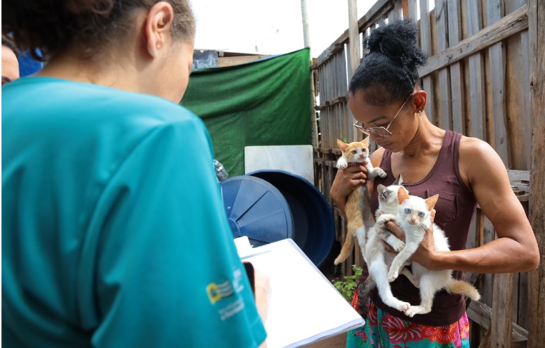 Prefeitura de Aparecida realiza castração gratuita de cães e gatos no Jardim Riviera
