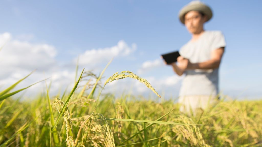 Agronegócio goiano conecta produção à sustentabilidade e assegura economia pujante ao Brasil
