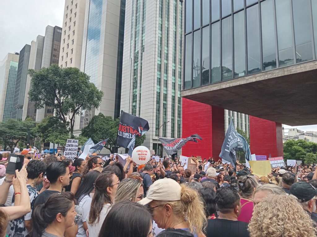 Morte do cão Orelha mobiliza artistas e manifestantes em protestos neste domingo pelo Brasil