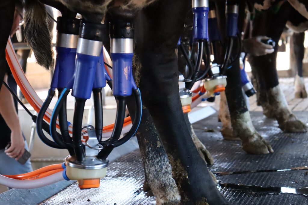 Governo de Goiás lança novo edital do PAA Leite 2026