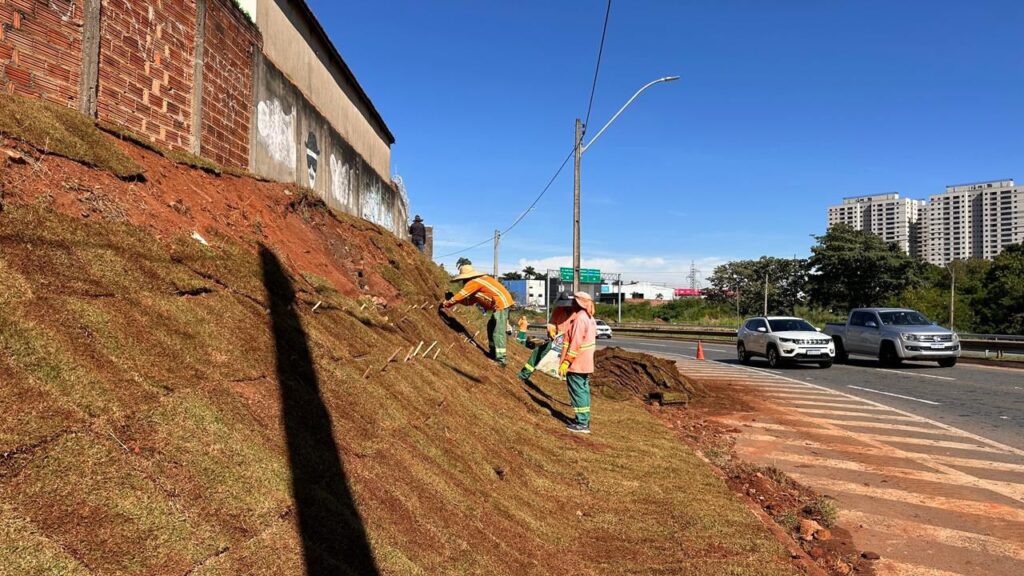 Comurg inicia recomposição de 4 mil m² de gramado na Marginal Botafogo em Goiânia