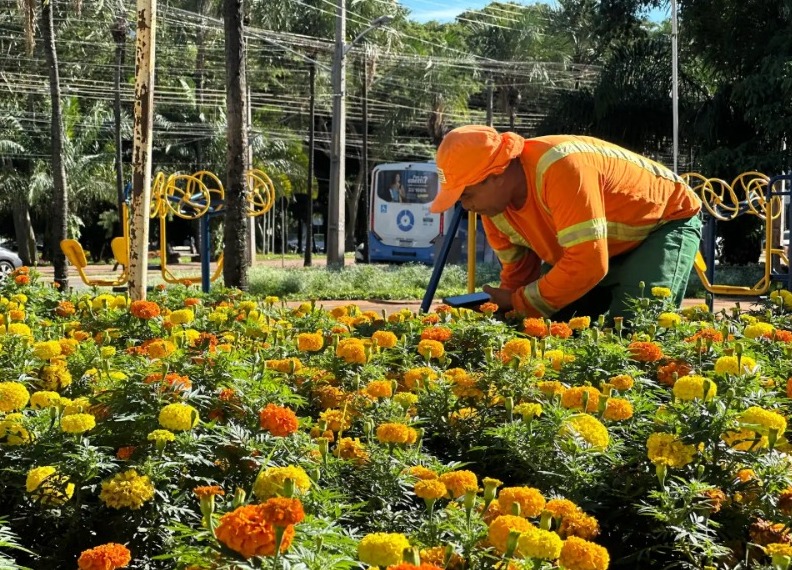 Comurg realiza plantio de mais de 80 mil mudas ornamentais em praças e canteiros de Goiânia