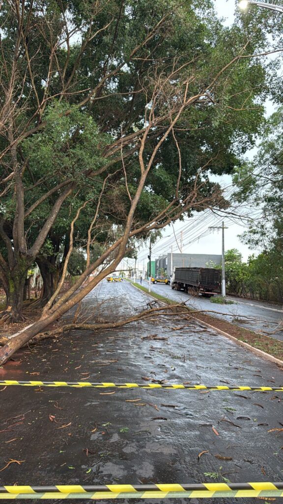 Temporais colocam 43 municípios de Goiás em alerta para chuva forte e ventos de até 65 km/h