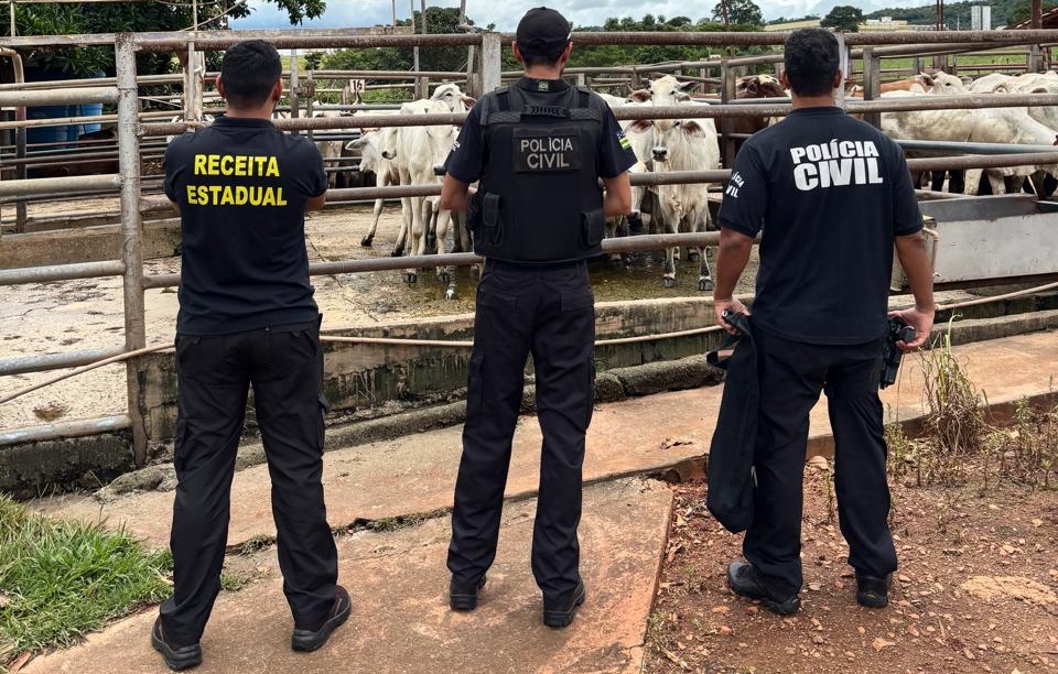 Operação apura prejuízo de R$ 190 milhões por sonegação fiscal no setor de carnes em Goiás