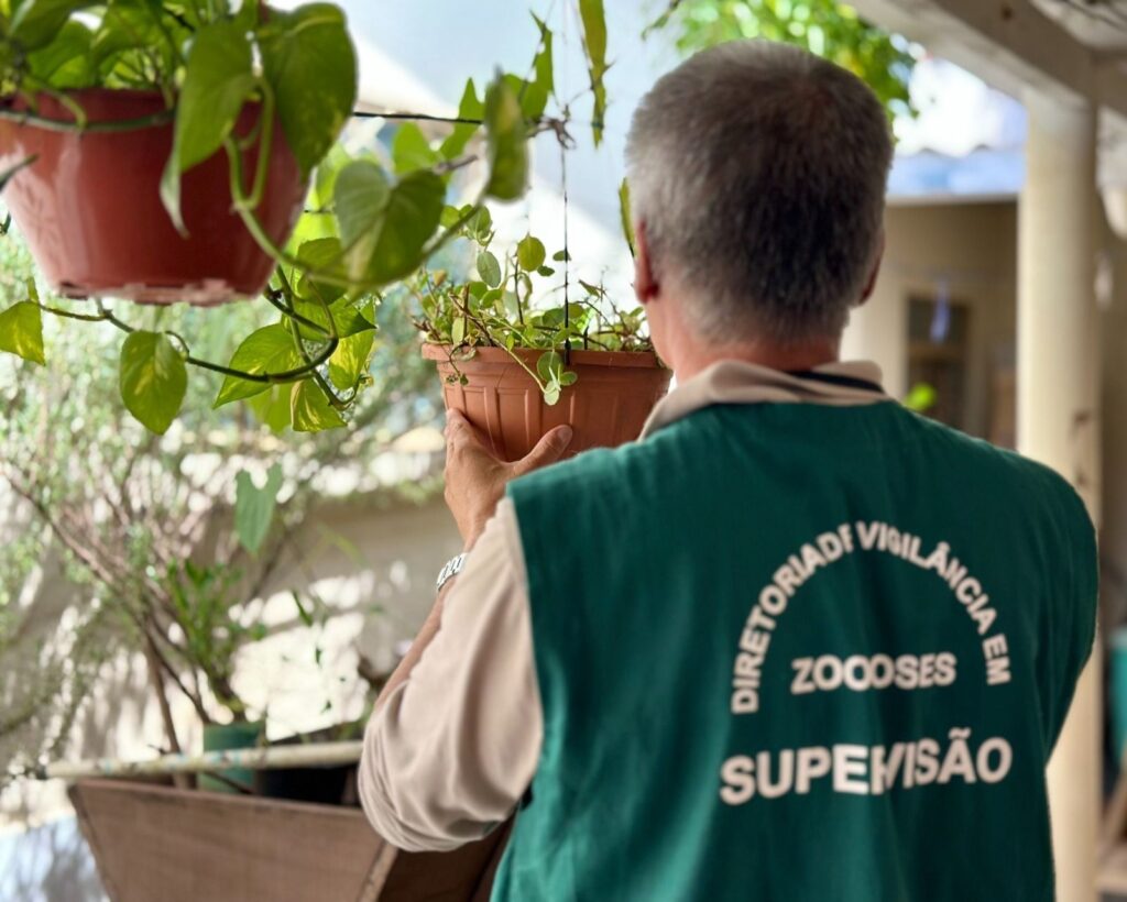 Saúde orienta goianienses a adotarem cuidados contra a dengue antes das viagens de carnaval
