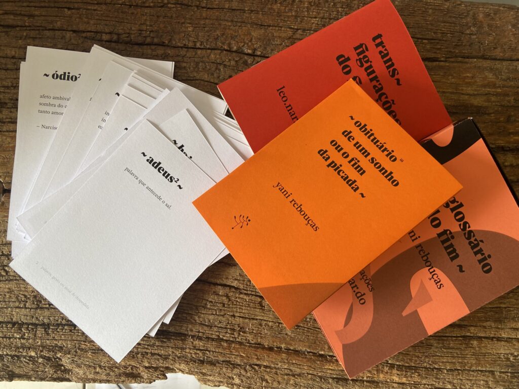 Yani Rebouças publica o livro-objeto “Glossário do fim” em Goiânia