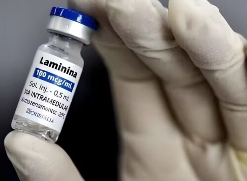 Cientistas pedem cautela sobre polilaminina, molécula testada no tratamento de lesões medulares