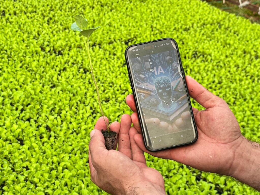 Inteligência artificial melhora decisões, eleva a produtividade e evita desperdícios no campo