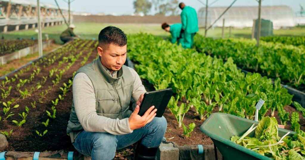 Senar Goiás realiza seminário de gestão da contabilidade rural nesta sexta-feira (27/2)